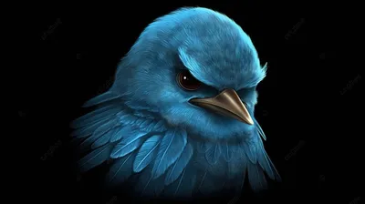 Синяя птица удачи