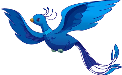 Синяя птица - eBird