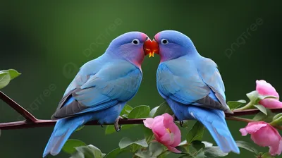 Синяя птица удачи, райская птица, …» — создано в Шедевруме
