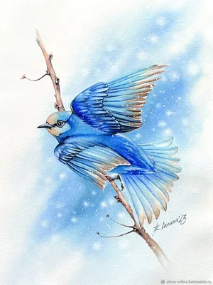 Сизоворонка — синяя птица песчаных карьеров — Пензенский государственный  краеведческий музей
