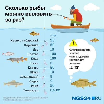 Сортировка Вручную Fishes После Улова Рыбы С Прудом — стоковые фотографии и  другие картинки Рыба - iStock