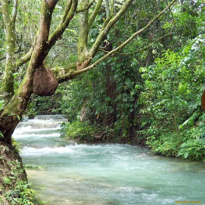 Обои Живая вода, картинки - Обои для рабочего стола Живая вода фото из  альбома: (природа)