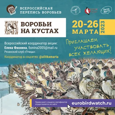 Птицей 2022 года объявлен домовый воробей - Кировская правда, газета региона