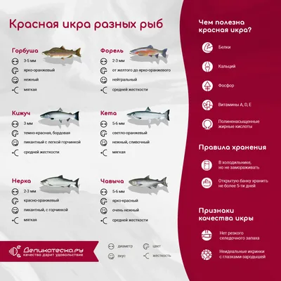 Интересные факты о рыбах - Детский Портал Знаний