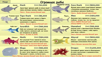 Самая большая пресноводная рыба в мире | ВСЁ ДЛЯ ВСЕХ | Дзен