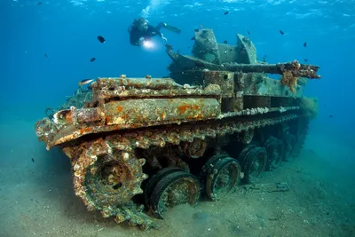 The most incredible shipwrecks you'll want to see - YouTube