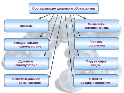 Новая теория проливает свет на то, как окружающая среда влияет на здоровье  человека : Зеленые технологии.