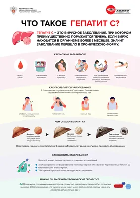 Экология и здоровье человека | Тобольская районная централизованная  библиотечная система