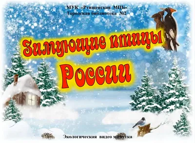 15 января в России отмечается День зимующих птиц | 15.01.2024 | Смоленск -  БезФормата