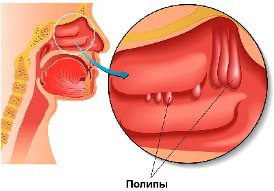 Андрей челомбитько