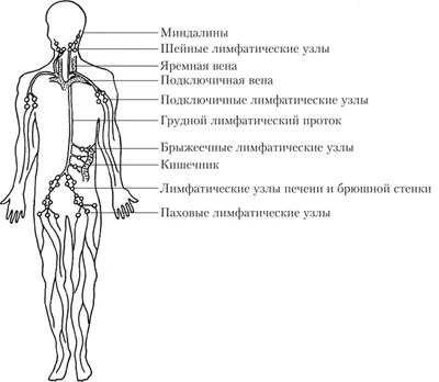 Гнойная ангина, чем лечить гнойную ангину, симптомы и признаки - блог  Furasol®