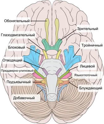 Храп: причины и способы лечения, как вылечиться от храпа