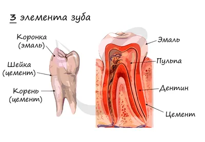 ЛОР clinic | Almaty