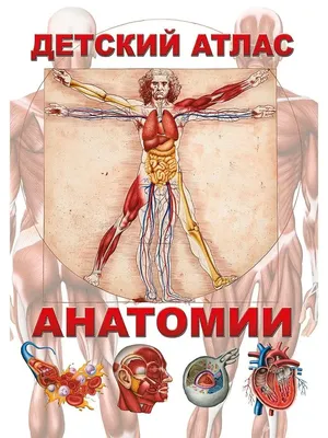 Колоректальный рак: симптомы, признаки, лечение, прогно