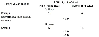 Герпес у собак: фотографии этого редкого заболевания