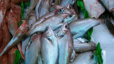 В Днепре в супермаркете Варус произошла неприятность из-за рыбы (ФОТО) |  Gorsovet