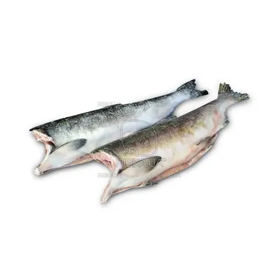 Горбуша (Onchorhynchus gorbuscha) - sharkseafoods.com