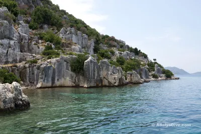 Во Владивостоке откроют круглогодичный открытый бассейн с морской водой -  Российская газета