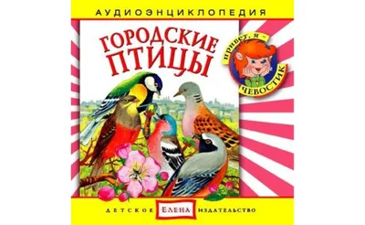 Иллюстрация Городские птицы в стиле 2d, детский, книжная графика |