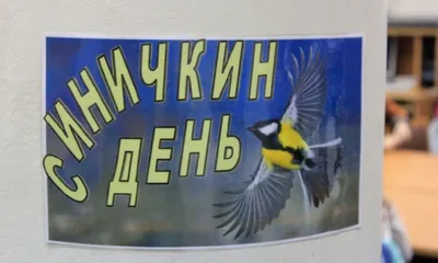 Открытие городской акции «Покормите птиц зимой -2024» — МБУ ДО ЭЦ ЭкоСфера  г. Липецка