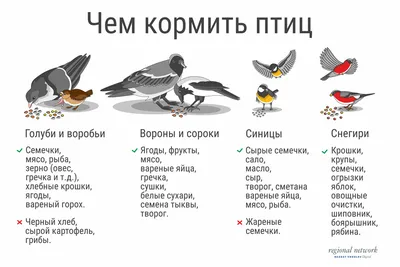 городские птицы — конкурс \"Зимний городской пейзаж\" — Фотоконкурс.ру
