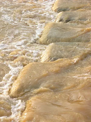 Коричневая Грязная Вода Пена Грязь И Пена Собираются На Берегу Реки Во  Время Наводнения — стоковые фотографии и другие картинки Аварии и  катастрофы - iStock