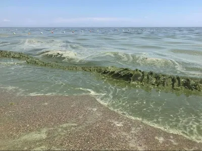 Грязная вода стала одной из главных причин рака