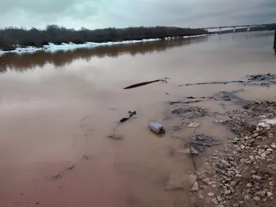 К чему снится грязная вода — сонник: грязная вода во сне | 7Дней.ру