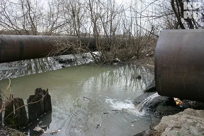 В Вологде самая грязная вода во всей области | ВОП.РУ