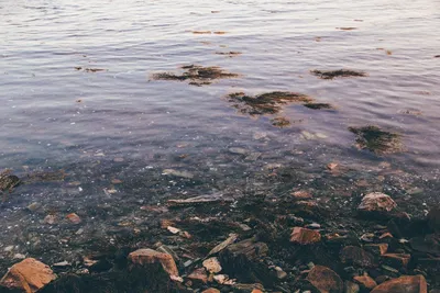 Замерзшая Грязная Вода В Лужах На Почве — стоковые фотографии и другие  картинки Весна - Весна, Влажный, Вода - iStock