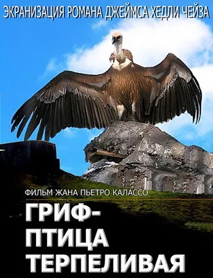 Пиатэк — огненный грифон Армянского нагорья — Армянский музей Москвы и  культуры наций