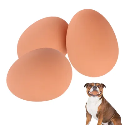 Удивительные картинки собачьих яиц для скачивания