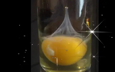 Яйцо в стакане с водой на ночь расшифровка фото