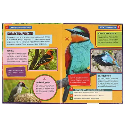 Яркие птицы в джунглях» — создано в Шедевруме