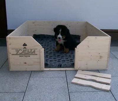 Фото ящика для родов собаки - бесплатные картинки для скачивания