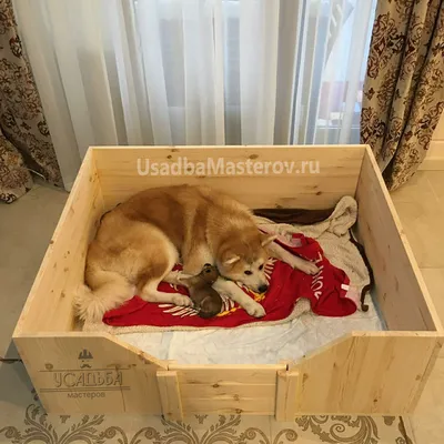 Ящик для родов собаки - фото для вашего проекта