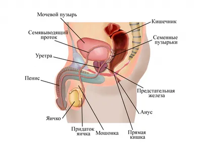 Blog | Что такое дерматит? Почему это происходит? Как это лечится?