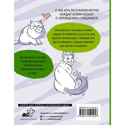 Переходим с мяу на meow: понимают ли коты иностранный язык и как их этому  научить - Skyeng Magazine