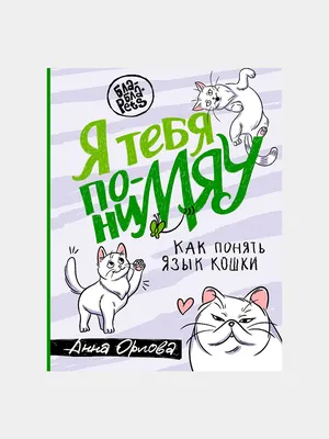 Тетрадь предметная 48 л, А5, \"Любознательные коты. Русский язык\", Феникс+,  60469 от магазина Альфанит в Кунгуре