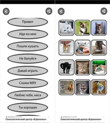 Ты понимаешь язык кошек? Вот как они говорят