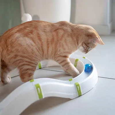 Набор мягкие мышки игрушки для кошки котят 3 шт. 5х3х1.5 см - купить с  доставкой по выгодным ценам в интернет-магазине OZON (373029386)