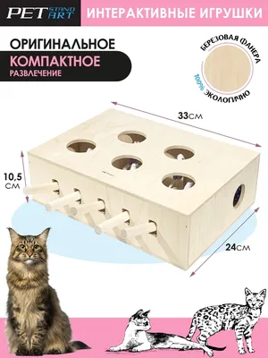 Набор игрушек для кошек Big Jungle 13270900 купить в интернет-магазине  Wildberries