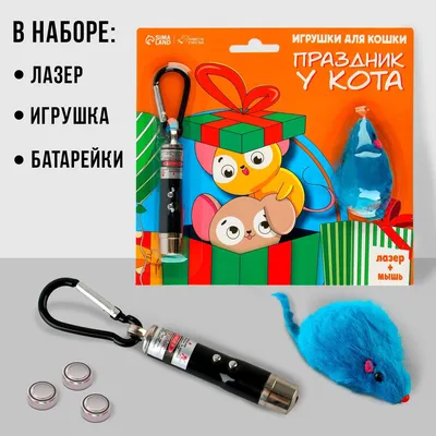 Игрушки для котят: как выбрать для своего питомца