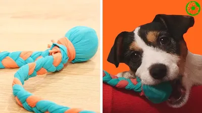 Игрушки для собак своими руками фотографии