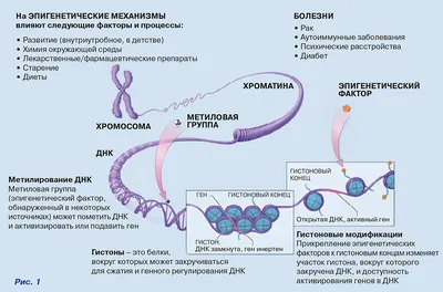 Фото ихтиоза у собак: самый лучший вариант для скачивания