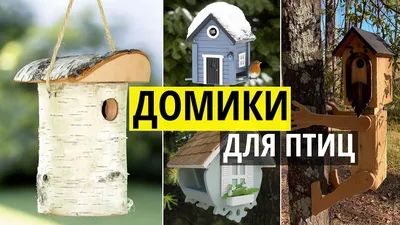 Кормушки и домики из дерева для птиц. Оригинальные идеи для дачи и сада  своими руками - YouTube