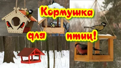 Кормушка для птиц ,своими руками ! - YouTube