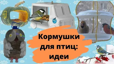 Кормушка для птиц своими руками: интересные идеи из подручных материалов -  YouTube