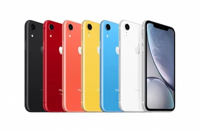 Чехол Тотемный пейзаж (Паален Вольфганг) для iPhone XR силиконовый купить  недорого в интернет-магазине Caseme