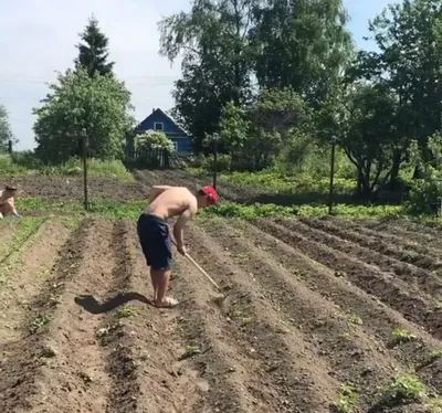 Футболист Иван Обляков: фото, раскрывающие его личность